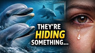 Dolphins Are Not What You Think… The Truth Will Shock You Net Worth