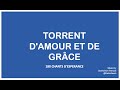 Torrent D