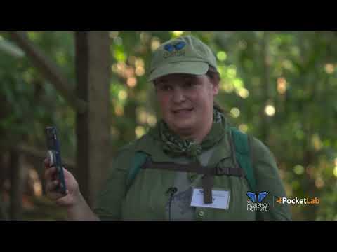 Inquiry in the Amazon with PocketLab