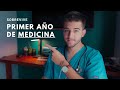 Cmo sobrevivir al primer ao de medicina  tips de estudio para estudiantes de medicina