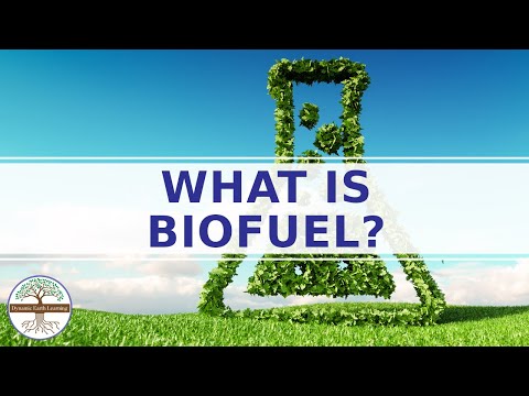 Video: Kemajuan Terkini Dalam Spektrometri Jisim Tinggi Yang Mempercepatkan Kejuruteraan Enzim Untuk Penyelidikan Biofuel