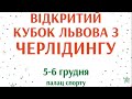 🔴НАЖИВО| ВІДКРИТІ КУБКИ ЛЬВОВА-2020| ЧЕРЛІДІНГ| ДЕНЬ #2| ЧАСТИНА #2
