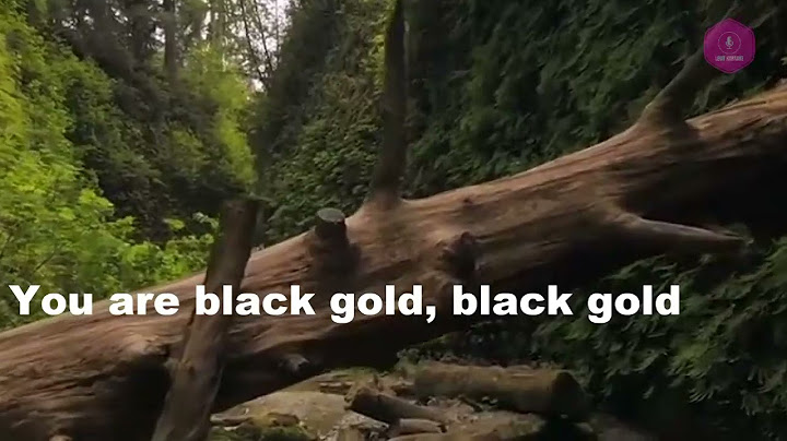 Black Gold Karaoke version - Karaoke performance video thumbnail