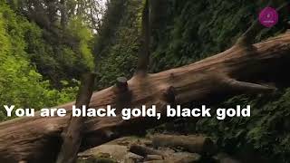 Esperanza Spalding - Black Gold (Karaoke Version)