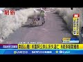 南投山難