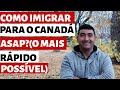 COMO IMIGRAR PARA O CANADÁ ASAP?(O MAIS BREVE POSSÍVEL)