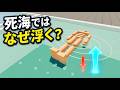なぜ死海では体が凄く浮くのか?原理を解説する