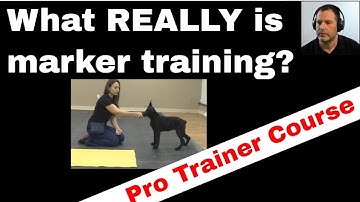 Markers in Dog Training Obedience (K9-1.com)
