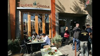 Author David Dressler Talks About Scaling TENDER GREENS  — Restaurant Influencers (RI013)