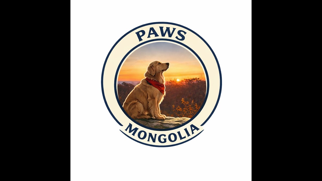 Бид хараад л өнгөрдөг амьдрал — Our Ethical Responsibility for Stray Animals (Mongolian Language)