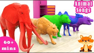 Bingo Songs & If You're Happy| Animals Are Playing With Colorful Slides| English Songs For Kids