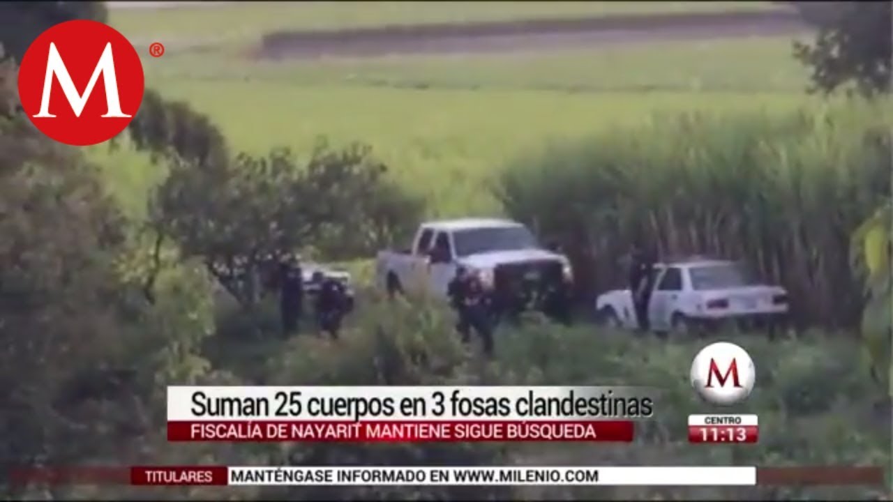 Hallan 25 cadáveres en fosas en Nayarit