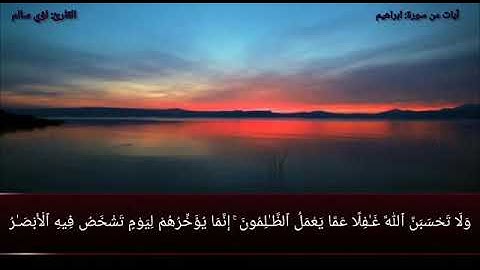 آيات من سورة إبراهيم للقارئ/ لؤي محسن سالم