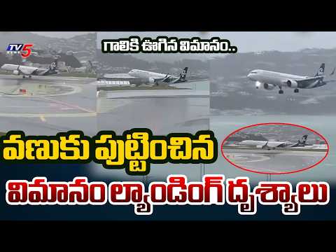 వెల్లింగ్టన్ ఎయిర్‌పోర్ట్‌లో భీభత్సం..! Plane Struggling To Land In New Zealand | TV5 News - TV5NEWS