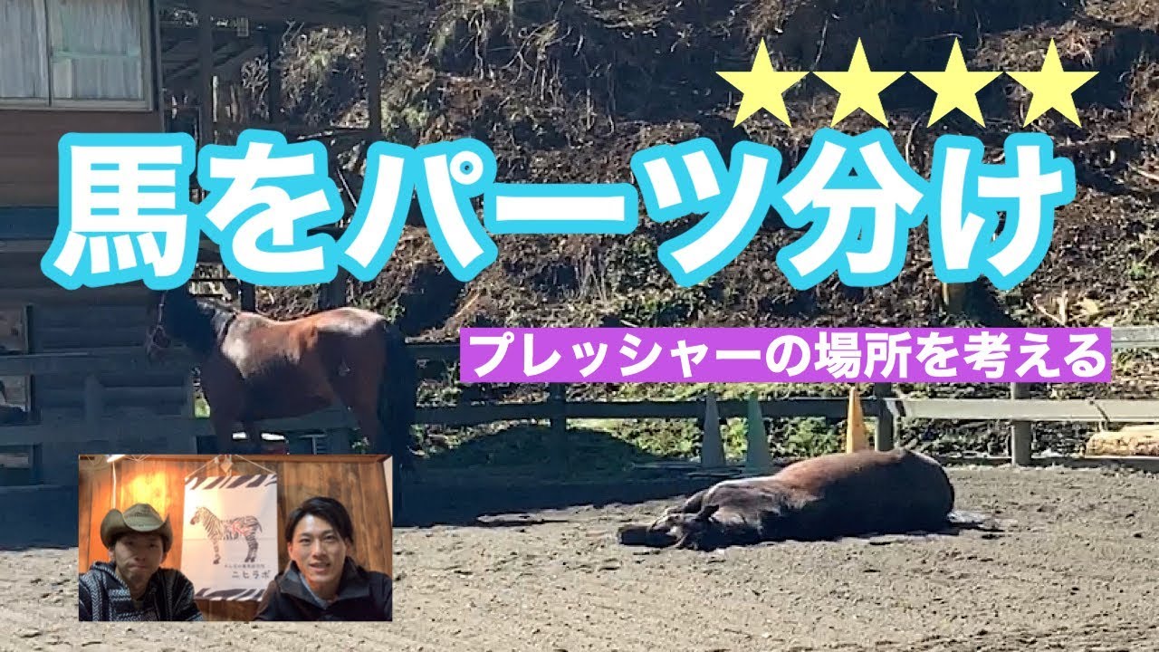 122.馬の身体をパーツに分けて考える