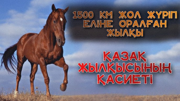 Ресейлік жұлдыздардың жыныстық қатынасқа түскен бейнелері