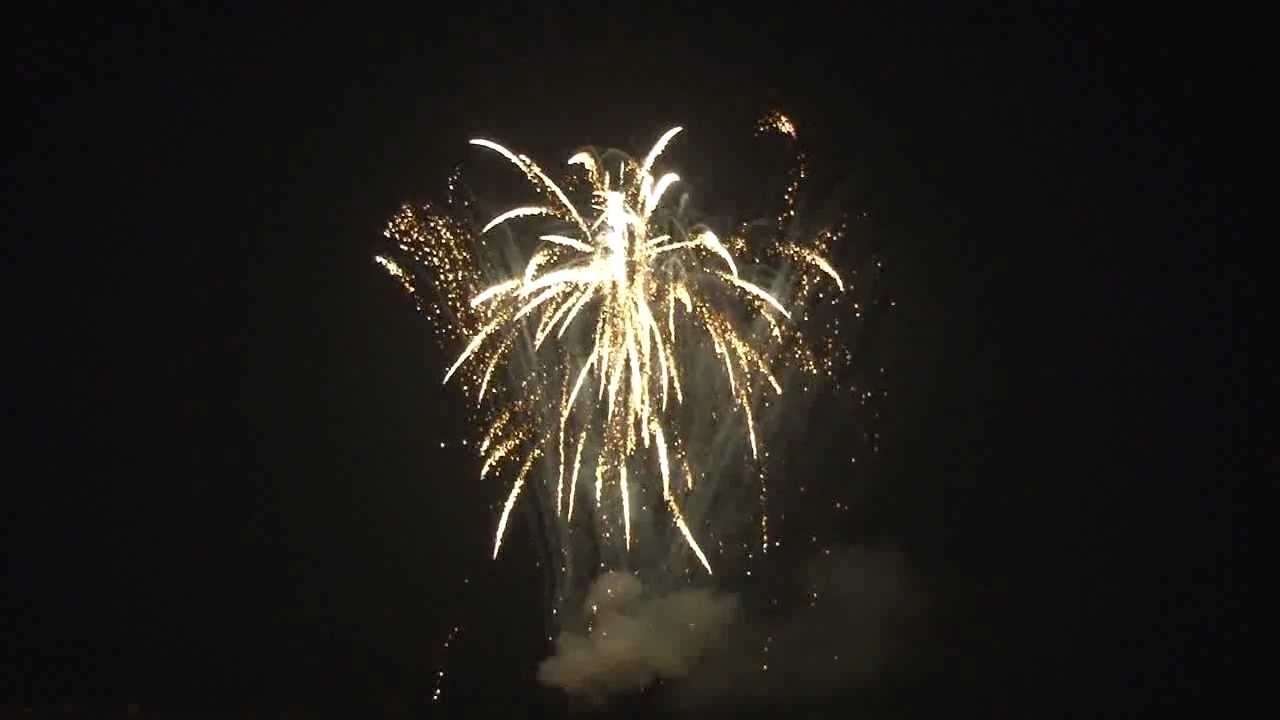 LDA162: 250 SHOT BROCADE CROWN TAIL, BROCADE CROWN CROSSETTE