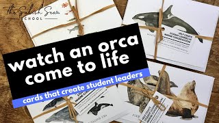 Watch Taylor bring a humpback and orca to life!