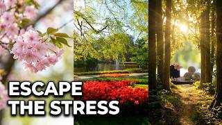 Calm Your Mind Gentle Piano Music Floral Scenes for Deep Relaxation