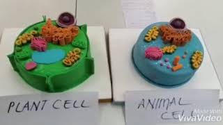 Animal Cell and Plant Cell Cake / BREGEAL Doğanay Erkan