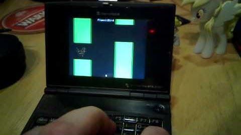 FlasciiBird on Ben NanoNote