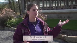 How Are Calves Raised?