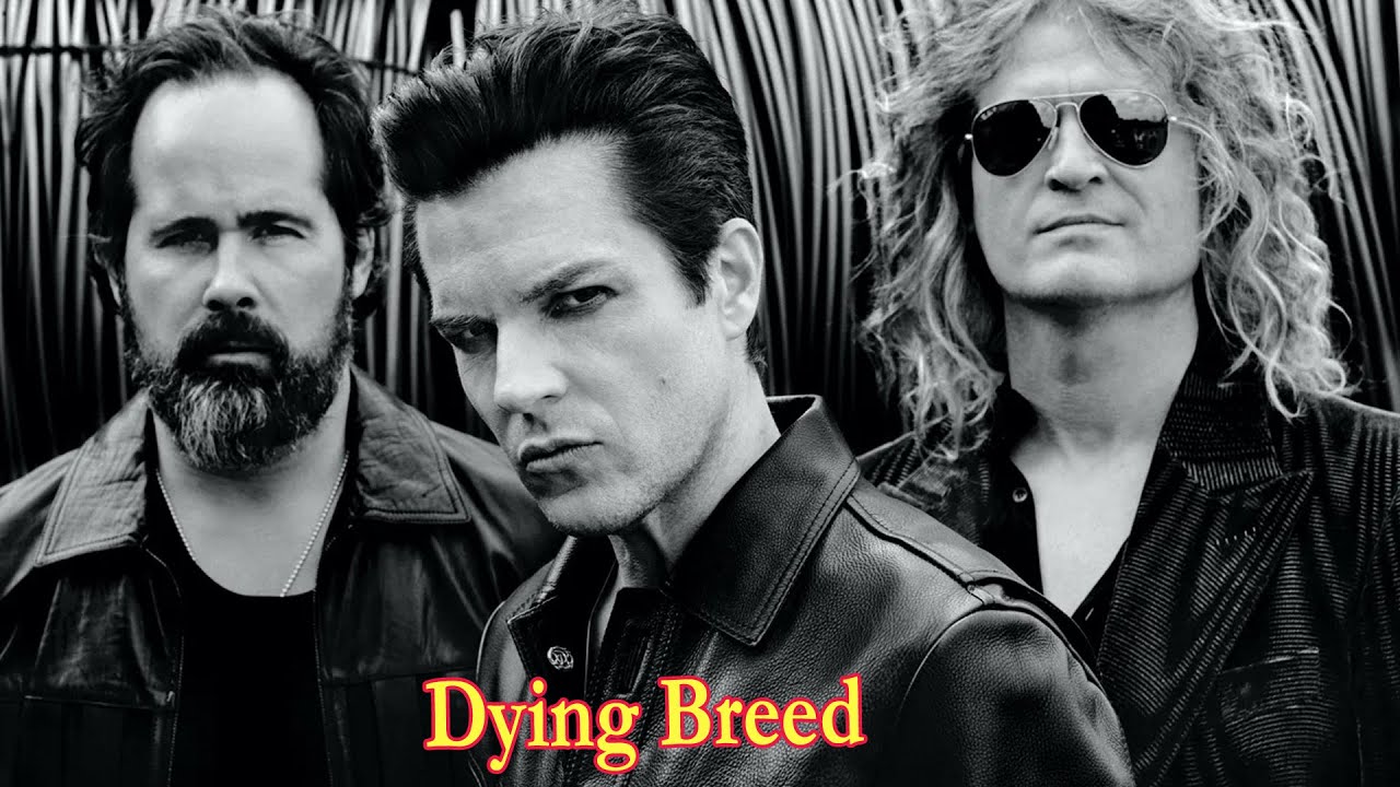 The Killers – Dying Breed Lyrics