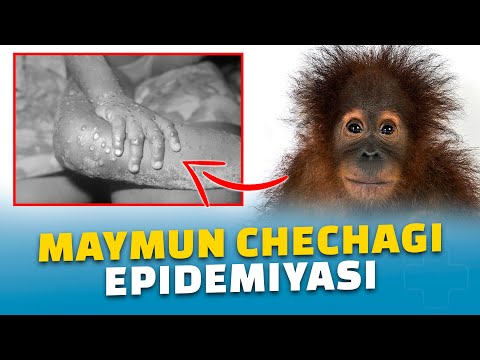 Моншада жалаңаш