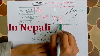 Limits and Continuity Profile