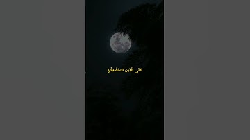 القرآن الكريم المنشاوي سوره القصص 💙.!!  #القرآن_الكريم #foryou #religion #viral #المنشاوي #fyp