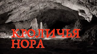 Кроличья нора