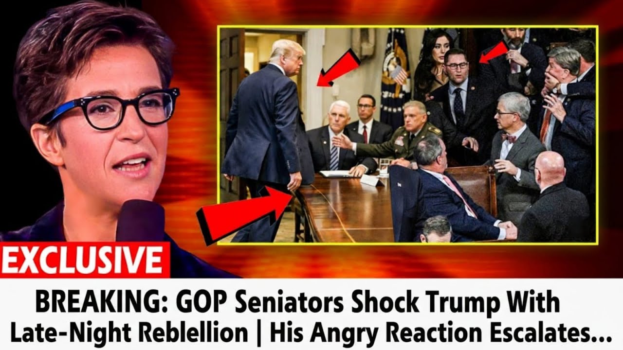 BREAKING GOP Senators Shock Trump With Late Night Rebellion  His Angry Reaction Escalates…