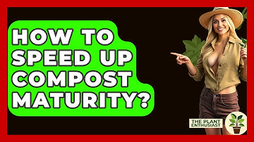 How To Speed Up Compost Maturity? - The Plant Enthusiast