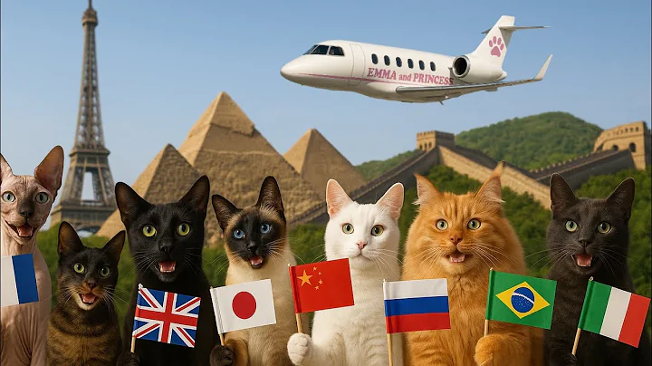 Watch the video about ALL THE CAT BREEDS IN THE WORLD