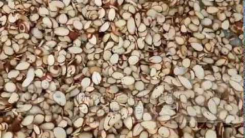 Almond Cutter Machine|Peanut Almond Slicer|Nut Slice Cutting Machine Price