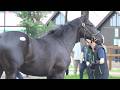 【セレクトセール2026】丹下日出夫の注目馬紹介【JRA-VAN公式】