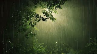 Sleep Very Well On A Rainy Night | Pouring Rain & Loud Thunder Sounds | Nature Sounds For Sleeping