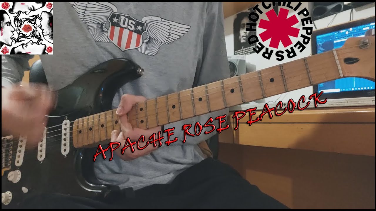 Red Hot Chili Peppers - Apache Rose Peacock | Guitar Cover 2020