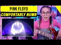 Pink floyd  comfortably numb  pulse concert performance 1994  singer reacts  musician analysis