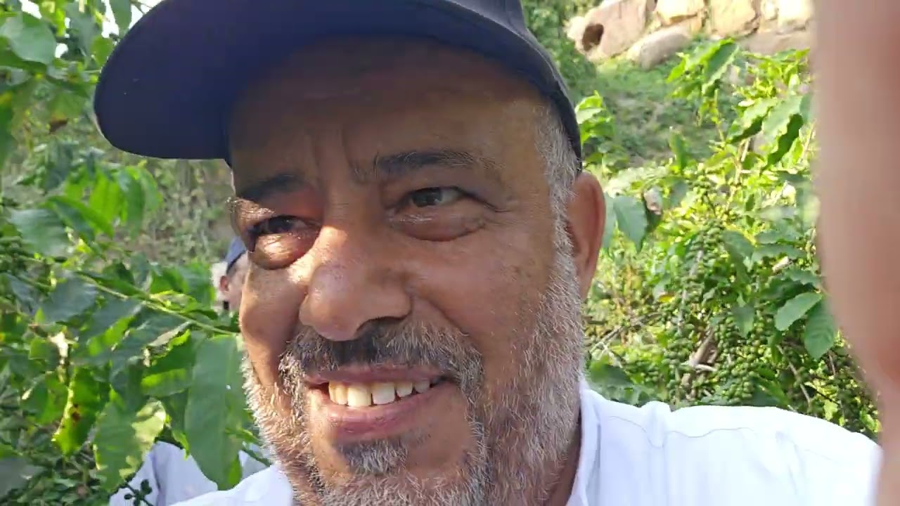 مزرعة البن في شدا الأسفل