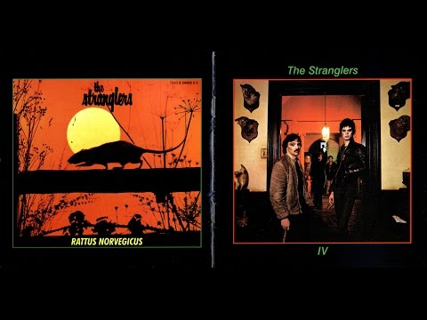 THE STRANGLERS - Tank &amp; Goodbye Toulouse @ Bikini 2015