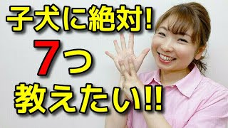 【子犬 トイレ甘噛み】子犬の時期に教えたいしつけ【犬のしつけ＠横浜】by遠藤エマ先生