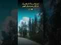 Afsoof 💔💯 #ytshorts #poetry #islamicvideo