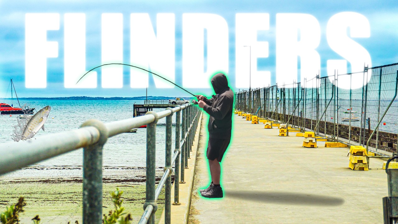 I Wasn’t Expecting This Fishing Pier Near Melbourne to Hold Fish Like This!