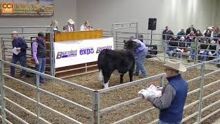 Michigan Beef Expo ChiMaine East Lansing MI