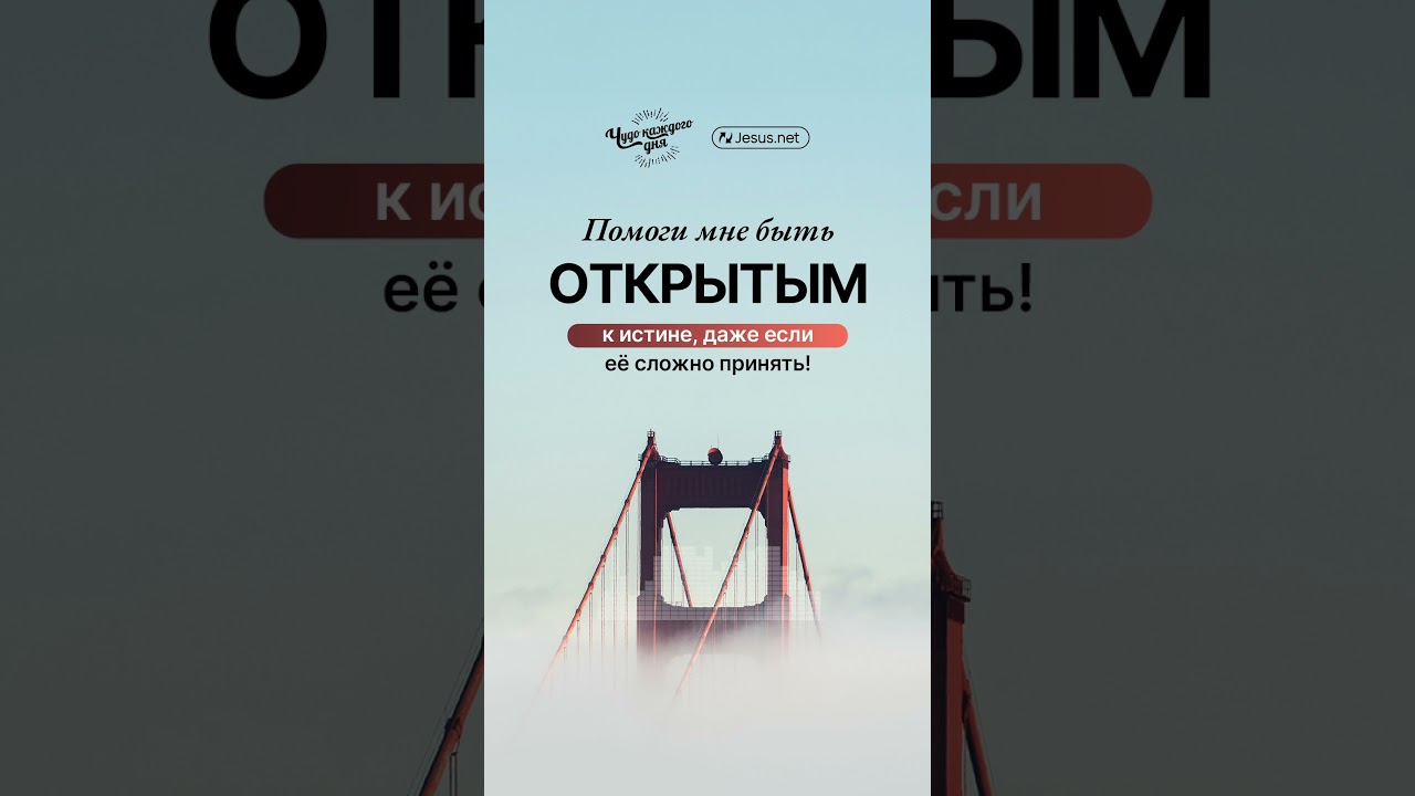 Тот, кто не хочет принимать истину, может взять в руку камень | Чудо каждого дня
