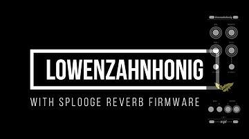 The only reverb I will need in my rack for a while! The WgdModular Lowenzahnhonig!