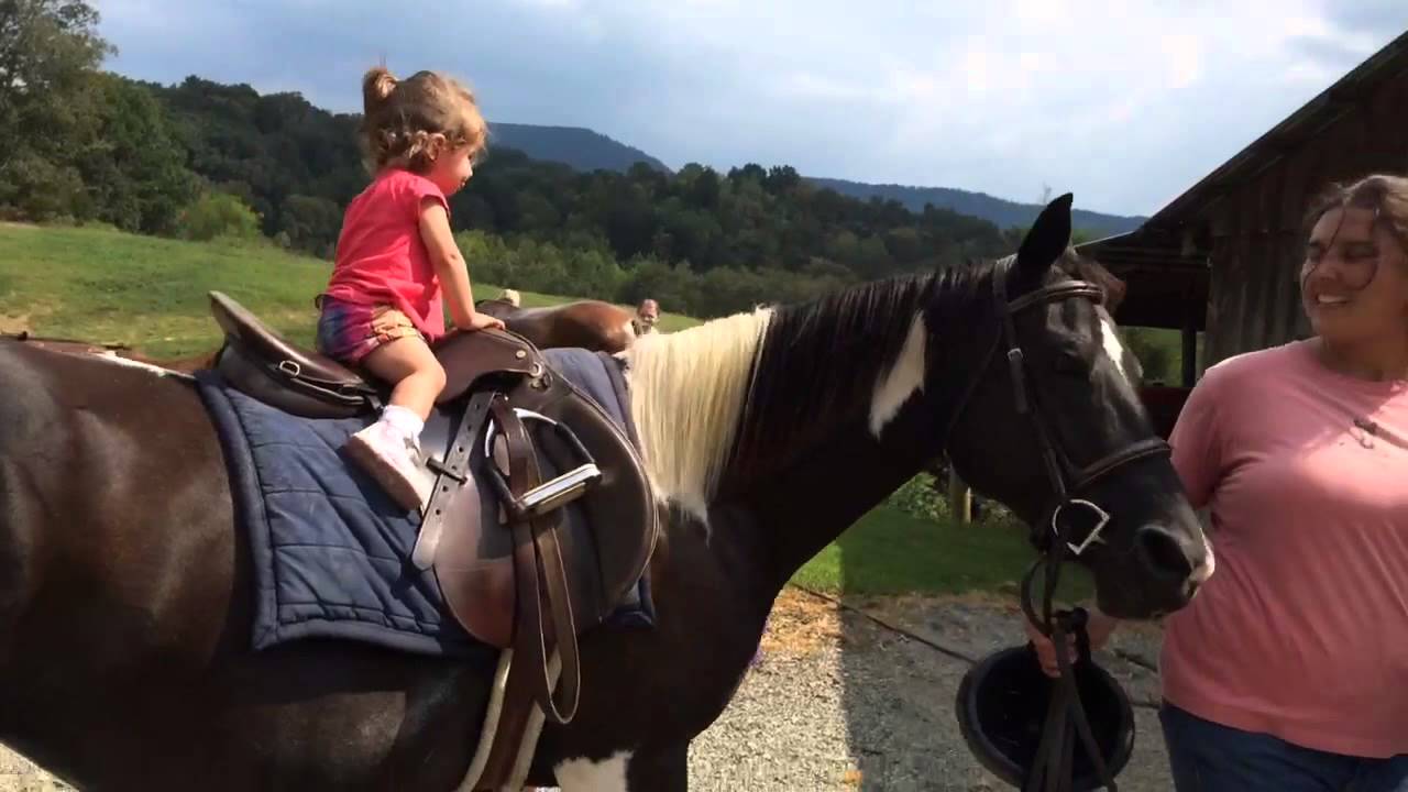 Beautiful Paint Pony for sale Sweet and Willing, ready to finish your