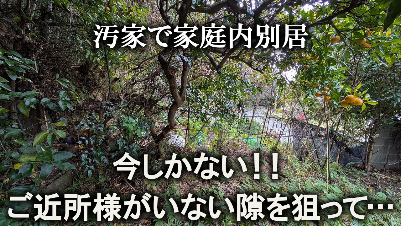 【片付け】ご近所様の居ない隙を狙っての汚山開拓｜汚部屋｜ズボラ主婦｜空き家｜汚家｜庭仕事｜伐採