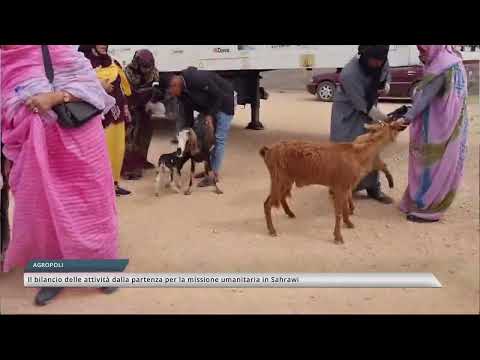 Il bilancio delle attività dalla partenza per la missione umanitaria nei campi Saharawi